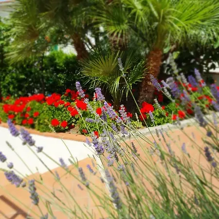 Casa Cote Tatil Evi *