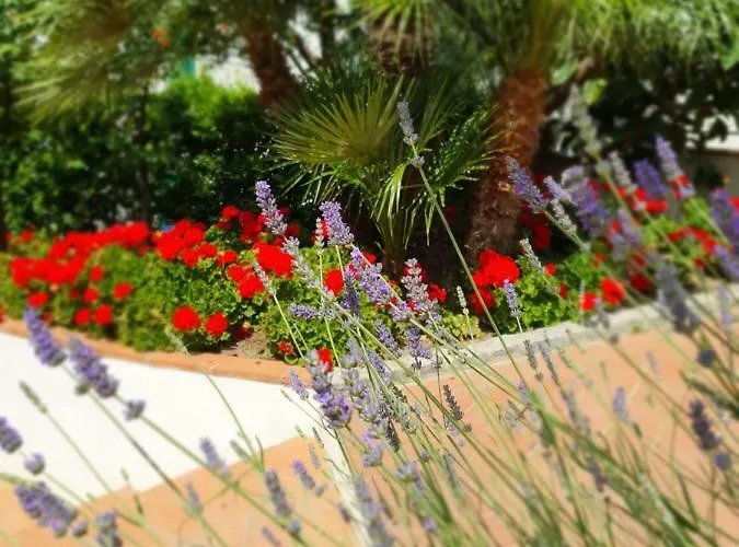 Casa Cote Tatil Evi *